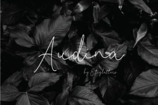 Audina Script: The Stylish Font for a Sweet Creative Touch
