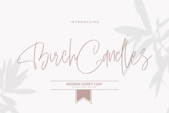 Birch Candles: A Script Font Crafted for Connection