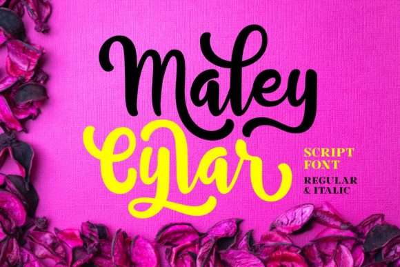 The Maley Cylar Font: A Bold Script for Creative Elevation