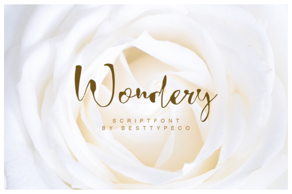 Wondery: Evaluating a Distinctive Handcrafted Script Font